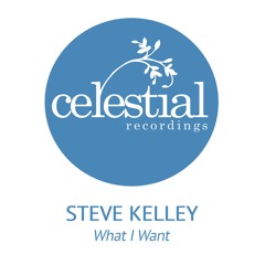Steve Kelley - What I Want (Original Mix)