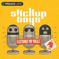 Stick Up Boys Electronic Pop Vocals 4 - Demo