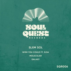 Premiere: Slxm Sol 'Wish You Could' (ft. Elsa)