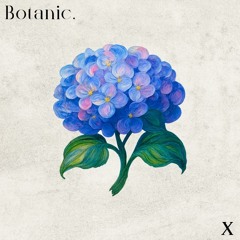 Botanic Sprout - 3.10 -  KastiL