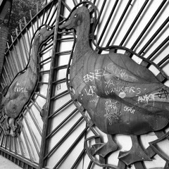 Pampa Sisyphos/Hammahalle   22/07/2023 📍BERLIN