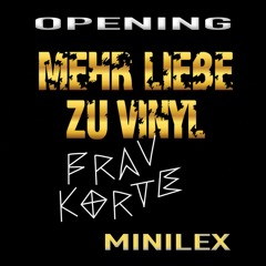Minilex_Mehr Liebe zu Vinyl_@Frau Korte- Opening 090116