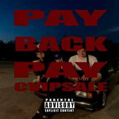 CVIPSALE - PayBackPay