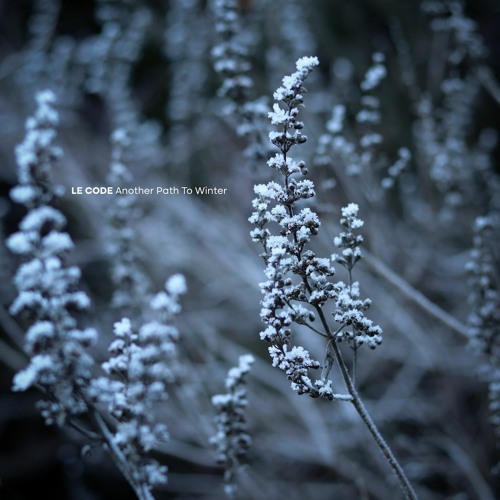 Another Path To Winter (Solo Version)