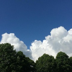 whether the weather (or not)