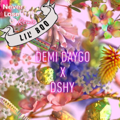 Never Lose You (remix)- Lil Boo Demi Daygo & Dshy