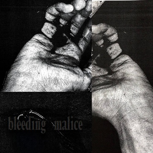 bleeding malice / clip