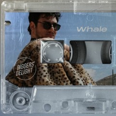 Diggers' Delight Mixtape Sessions - Whale