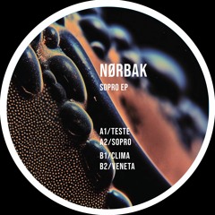 Premiere: Nørbak "Teste" - Token Records