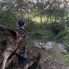 Endemic Wurldwide - Field recordings w/ Dot.AY - 11102021