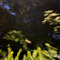 GARAGE ARCHIVE - (10.10.25) - SANCHZ B2B FADDEN