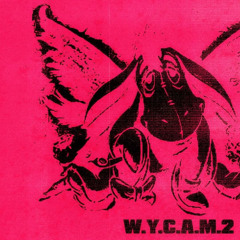 W.Y.C.A.M.2