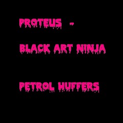 4. Master Of Magnetism - Proteus and Black Art Ninja