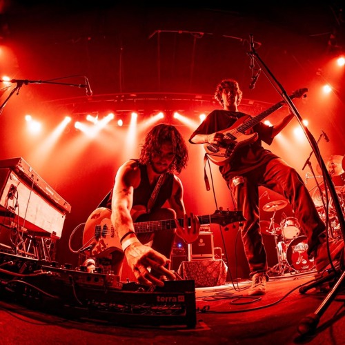 Sqwerv Hors D'oeuvres, Part 1: A Tasty Sampler