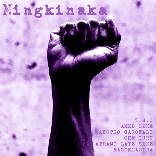 TH569  - Ningkinaka (Macchianera tribal cut)