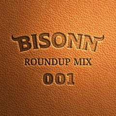 Roundup Mix 001 (Tech House / Bass House)