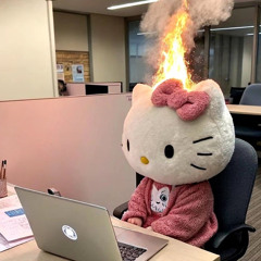 Burned CD albumcase