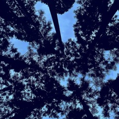 LIVE - The beginning of the night at Somewhere in Nagano 09252021