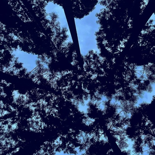 LIVE - The beginning of the night at Somewhere in Nagano 09252021