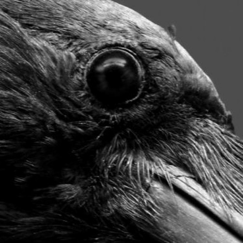 The Crow's Eye