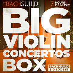 Wolfgang Amadeus Mozart: Violin Concerto No.2 in D Major, K.211:  I. Allegro moderato