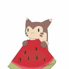Furret walk (SCJ Lo fi)