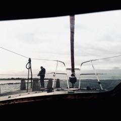 Snaps, schrimp and distant trawler at Slikken Van Flakkee