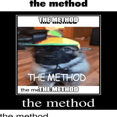 THE METHOD