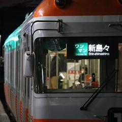 SCARLET MATSUMOTO ZONE