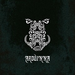 ARDUINNA FEST