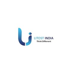 Revamping Marketing Strategies With Litost India Newspaper Advertising Services In Delhi