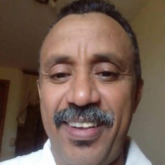شرف الأهلية أنة المجروح