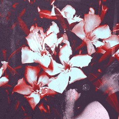 Oleander (Prod By. @siemspark X @1heyrick)