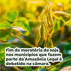 Fim da moratória da soja nos municípios que fazem parte da Amazônia Legal é debatido na câmara