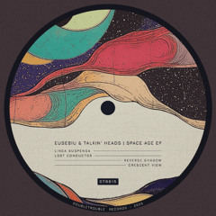 Eusebiu & Talkin' Heads - Space Age EP [DTR015]