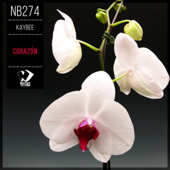 Kaybee - Corazón (Original Mix)