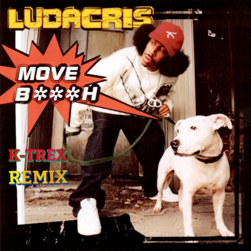Ludacris - Move Bitch (K-Trex Remix)