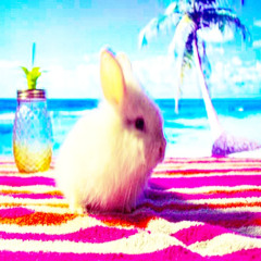 сонце пляж і пальми