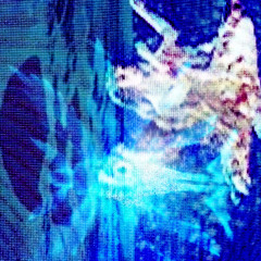 Omega Kendrick