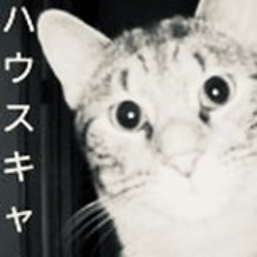 Rasta Buddha - Housecât, 04/2022 (Archive)