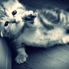 Feels x Hoodtrap x Jersey