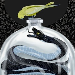DEAD SNAKE IN A JAR (FT. BROLY)