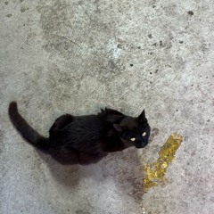 capacity - big thief cover