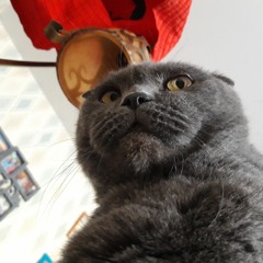 Vargadelic - durakavalianie.mp3