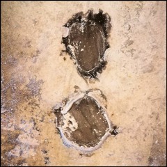 TRACES