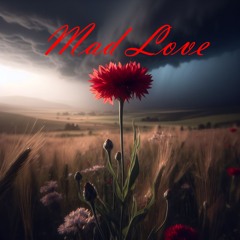 Mad Love