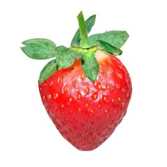 TINA DISCO- Celebrating 15 Years of Strawberry Fields Application