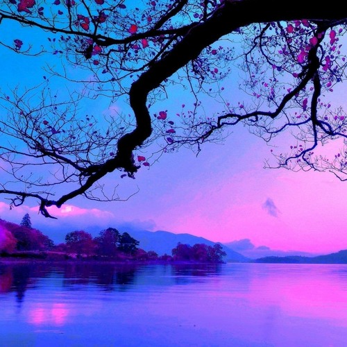 A Little Lovin' - Instrumental