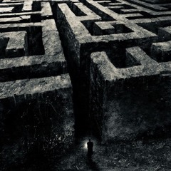 Life Is Such A Maze