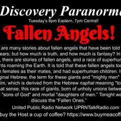 Discovery Paranormal With Michael Angley Fallen Angles  - January 25th, 2022
